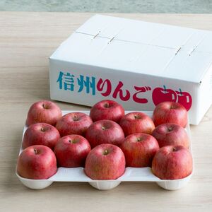 北城農園で人気の南信州産りんご（完熟サンふじ 11-13玉 約4kg)