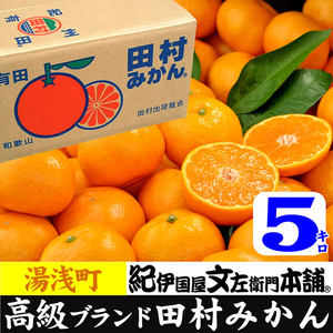 【2026年先行予約】田村みかん／5kg青秀／サイズ指定なし_V7450