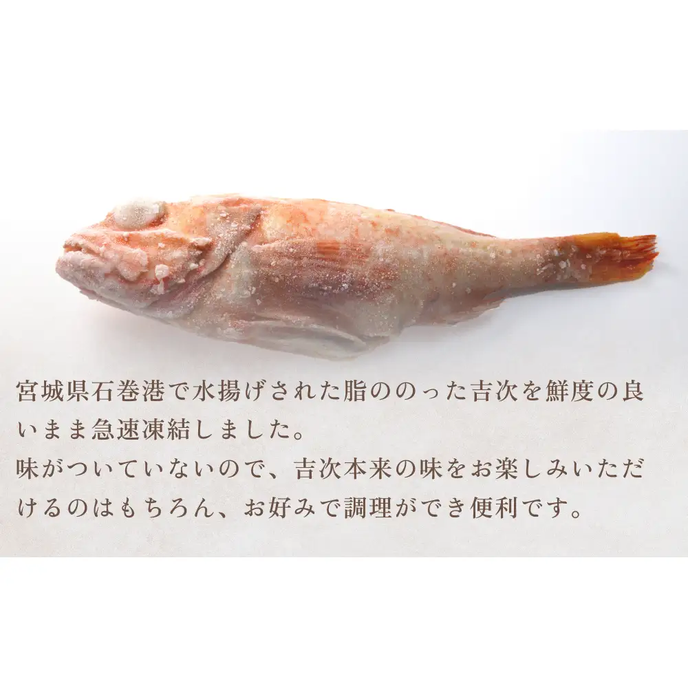 冷凍きちじ(きんき)　5尾 吉次 キンキ 魚 煮物 塩焼き 素揚げ おかず 魚 お魚 美味しい
