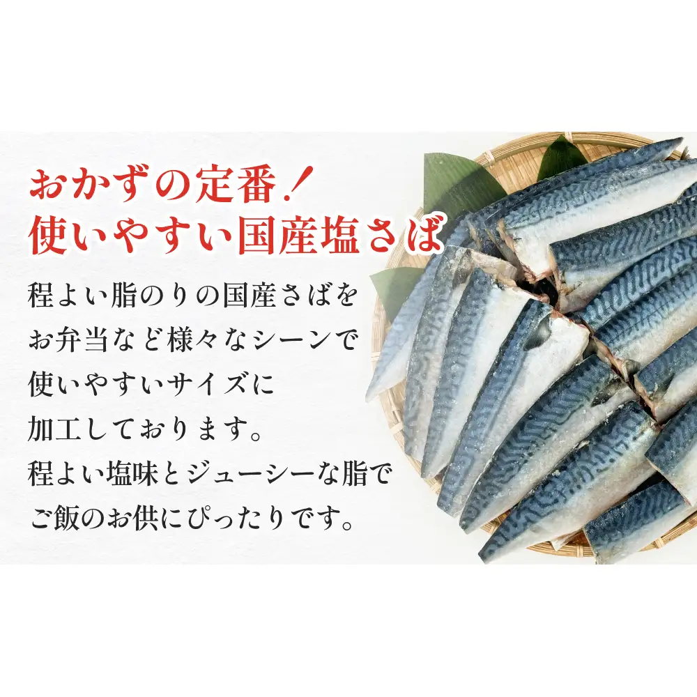 訳あり 塩 サバ フィーレ1kg（10枚前後）さば 鯖 切り身 宮城県 石巻市