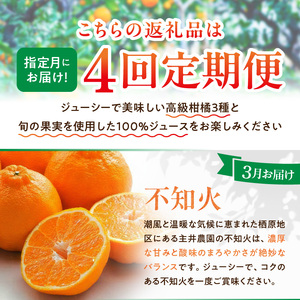 柑橘定期便【4回定期便】樹_ZS69007