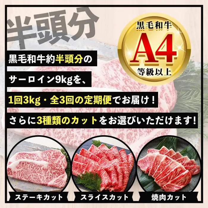 【3か月定期便】カットを選べる！鹿児島県産 黒毛和牛 サーロイン 半頭分 9kg（3kg×3回)  A4等級以上 定期便【00-030-17-TK】