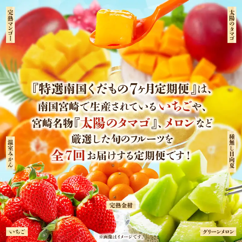 定期便 くだもの7ヶ月 定期便[2027年発送先行予約 数量・期間限定 特選]