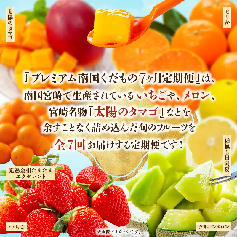 定期便 くだもの7ヶ月 定期便[2027年発送先行予約 数量・期間限定 南国]