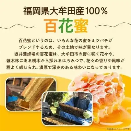 坂井養蜂場　みつばちの雫　1000g_調味料 はちみつ  ハチミツ 蜂蜜_【1111654】