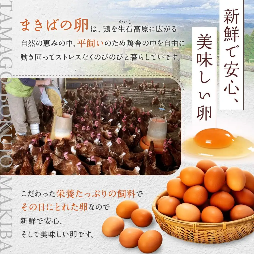 6か月定期便 おいし高原 庭さき卵 Lサイズ 20個入り 【全6回お届け】