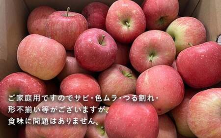 【令和8年産先行予約】 〈訳あり品 家庭用〉 りんご 「シナノスイート」 約3kg バラ詰め 《令和8年10月中旬～発送》 『カネタ高橋青果』 リンゴ 山形県 南陽市 [2182]