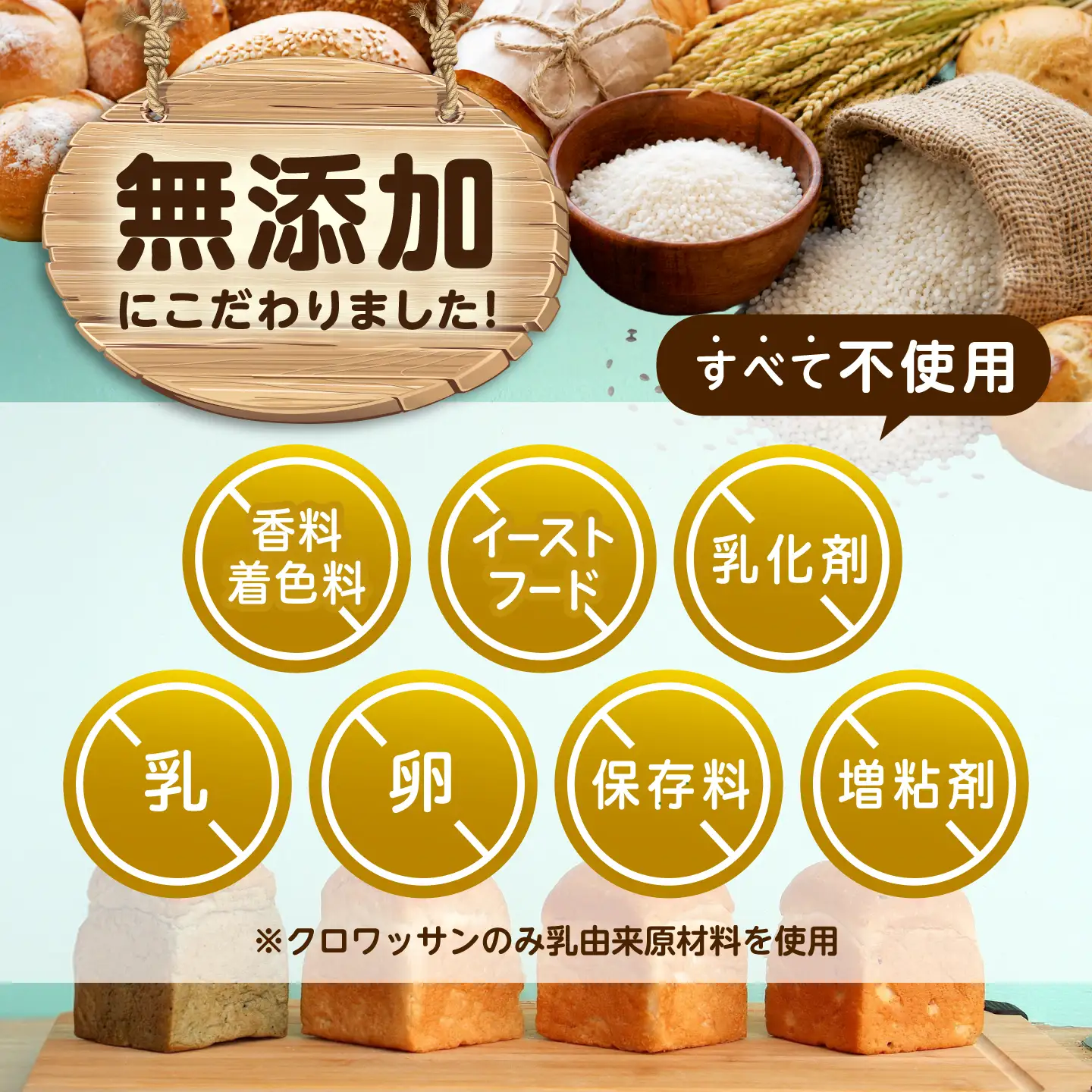 グルテンフリー 米粉パンの2種（プレーン、オリーブ＆ローズマリー）食べ比べセット[BACW013]パン