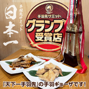 【手羽先サミット殿堂入り!!】手羽ギョーザ 18本（ 手羽先 餃子 天下一手羽先 ぎょうざ 国産餃子 鶏肉 手羽先餃子 ギョウザ 唐揚げ 金賞 グランプリ ）【手羽先サミット殿堂入り！】手羽ギョーザ 18本（国産 鶏肉 手羽先 餃子 ギョウザ 唐揚げ 金賞 人気）