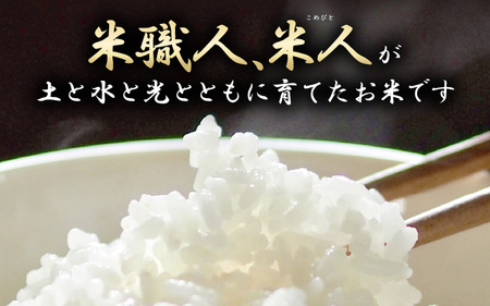 令和8年産 コシヒカリ 5kg【無洗米】 [m25-a007_02]