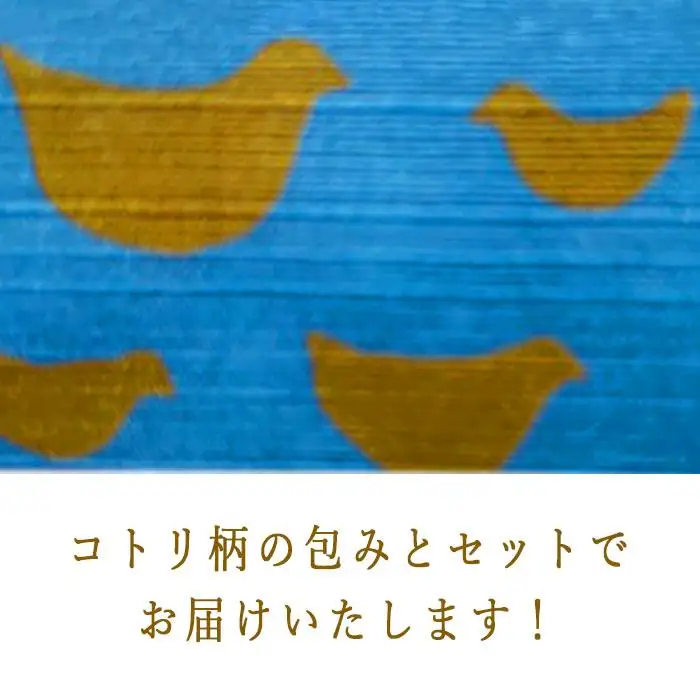 紀州桧弁当箱 タイプS-4DBRナノコ-ト 弁当包みセット