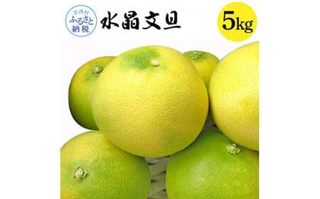 高知県産 水晶文旦 5kg 