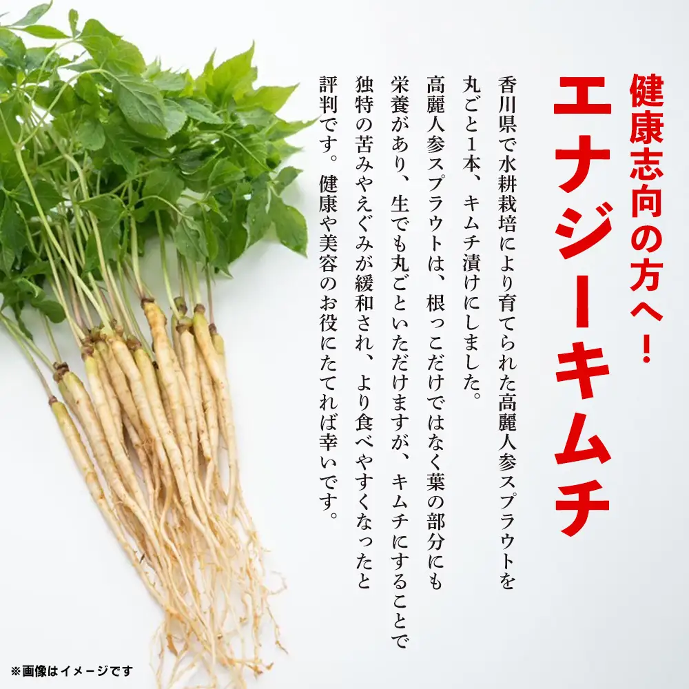 【5カ月定期便】一子相伝 秘伝のエナキム(高麗人参スプラウト・キムチ)1袋1本入り(H104311)
