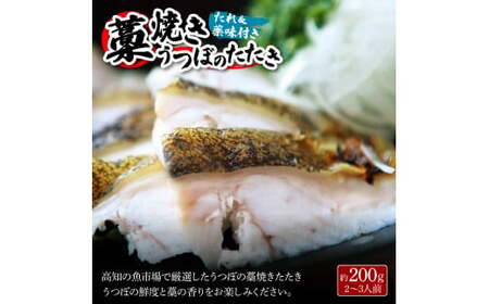 土佐の魚とお酒のおきゃくセット B（ウツボタタキコース）藁焼きウツボタタキ（タレ・薬味付）約200g 2-3人前 わら焼き うつぼ 珍味 純米吟醸生原酒 CEL-24 高知県 土佐市【さかなの森澤マル祐】[BQAM017]