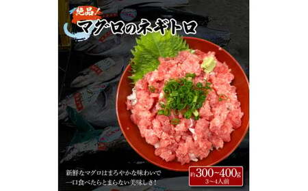 土佐の魚とお酒のおきゃくセット C（ネギトロコース）マグロのネギトロ 約380~400g 3-4人前 まぐろ 鮪 ねぎとろ 魚介 海鮮 純米吟醸生原酒 CEL-24 高知県 土佐市【さかなの森澤マル祐】[BQAM019]
