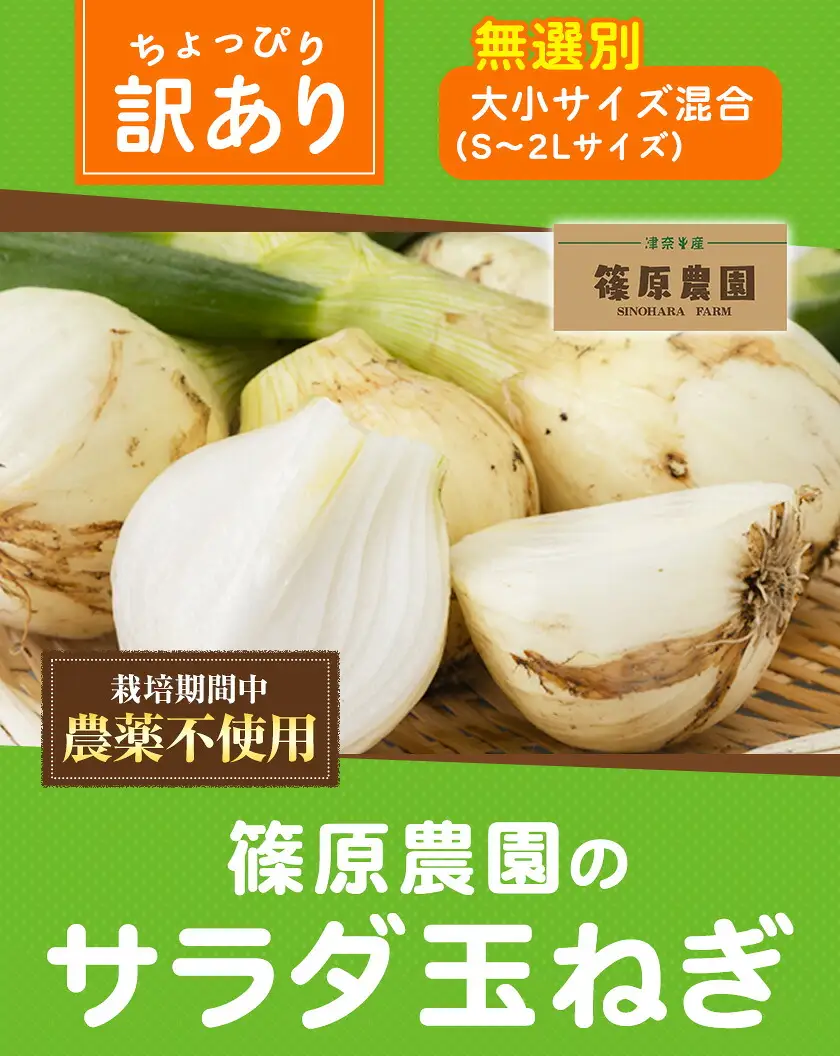 玉ねぎ サラダ 3kg 玉ねぎ