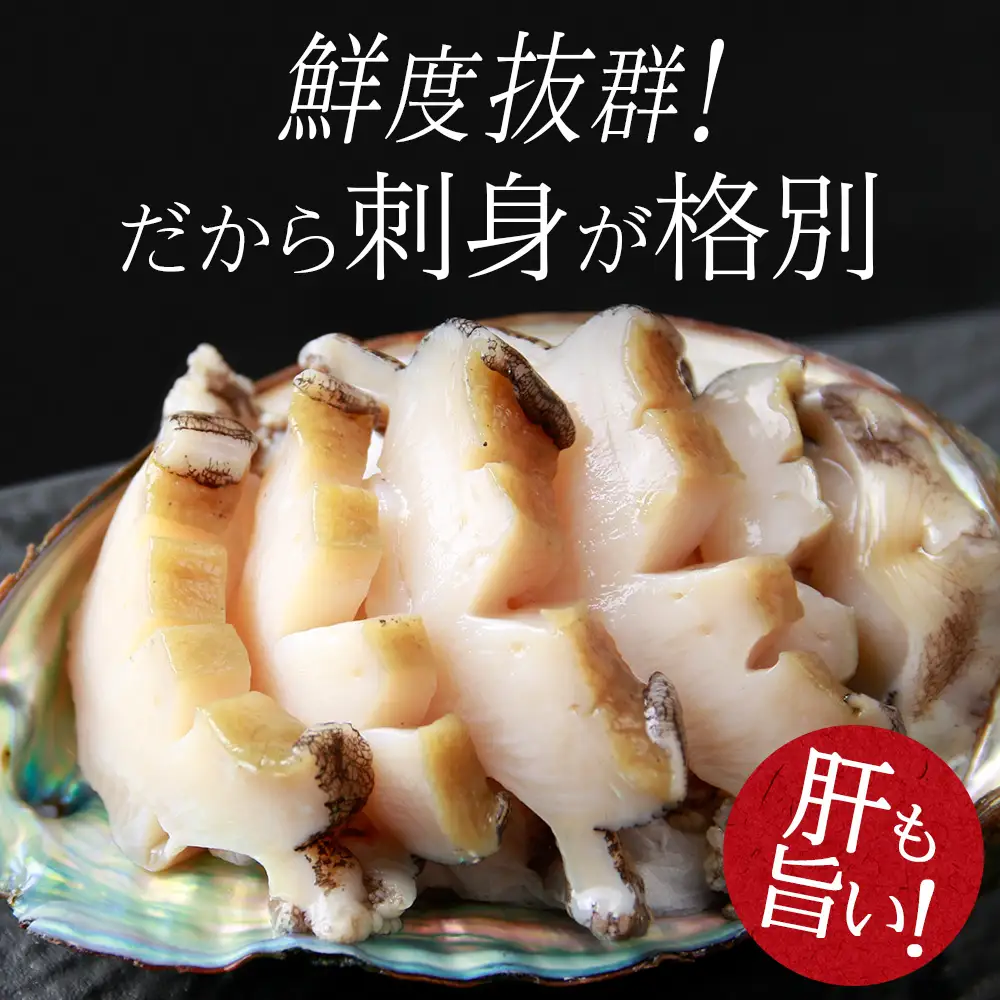〈2026年12月発送予約〉北海道 知内産 天然かつあわび約1kg（M～L詰め合わせ）≪上磯漁業協同組合≫