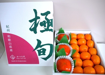 かつらぎセット（みかん＆柿)  約3.5kg 【2026年11月中旬から2026年12月上旬発送】【A274-frks167A】
