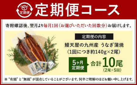 【5ヶ月定期便】鰻天屋 九州産うなぎ 蒲焼 約140g×2尾 セット 合計10尾 たれ 山椒 鰻 ウナギ 蒲焼き 国産 冷凍 鹿児島、宮崎、熊本等産うなぎ原料使用