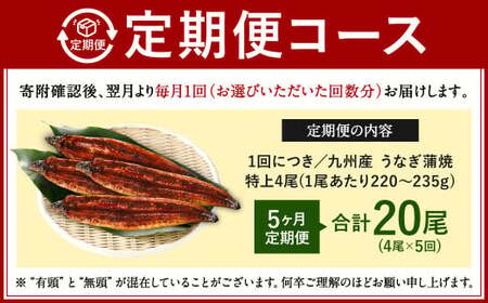 【5ヶ月定期便】九州産 うなぎ蒲焼 特上 4尾 (1尾あたり220～235g)  合計20尾 たれ 山椒 鰻 ウナギ 蒲焼き 国産 冷凍 鹿児島、宮崎、熊本等産うなぎ原料使用