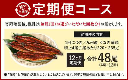 【12ヶ月定期便】九州産 うなぎ蒲焼 特上 4尾 (1尾あたり220～235g)  合計48尾 たれ 山椒 鰻 ウナギ 蒲焼き 国産 冷凍 鹿児島、宮崎、熊本等産うなぎ原料使用
