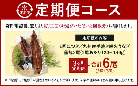 【3ヶ月定期便】九州産 手焼き炭火 うなぎ蒲焼 2尾（1尾あたり120～149g） 合計6尾 たれ 山椒 鰻 蒲焼き 冷凍 国産 送料無料 鹿児島、宮崎、熊本等産うなぎ原料使用