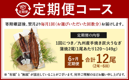 【6ヶ月定期便】九州産 手焼き炭火 うなぎ蒲焼 2尾（1尾あたり120～149g） 合計12尾 たれ 山椒 鰻 蒲焼き 冷凍 国産 送料無料 鹿児島、宮崎、熊本等産うなぎ原料使用