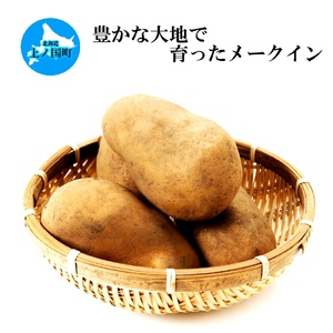 【2026年発送】山下農園のおいしい馬鈴薯「メークイン」　Lサイズ×10㎏　じゃがいも　ジャガイモ　ポテト　農家直送　いも　イモ　芋　北海道産