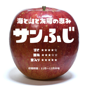 りんごの王様「サンふじ」 7個入り ～自分へのご褒美に・大切な誰かに～ 米崎りんご