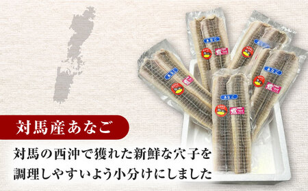 対馬産 あなご 天ぷら・煮付用 5パック[WCS011] 冷凍配送 小分け アナゴ 新鮮 海鮮 冷凍  