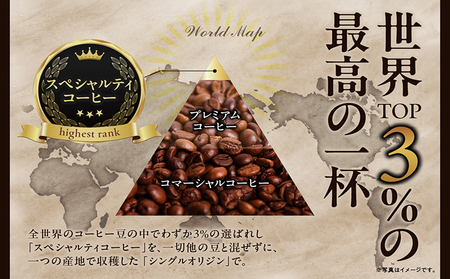 NoBlendCoffee工房‐特選スペシャルティコーヒー豆セット スペシャルティコーヒー コーヒー コーヒー豆 飲料 飲み物 ドリンク ブレンド 焙煎 自家焙煎 味わい 特産品 エチオピア グアテマラ 愛知県 常滑市