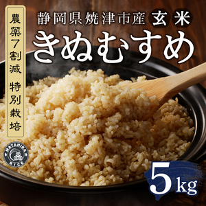 令和７年産　農薬7割減 特別栽培 きぬむすめ 玄米 5kg (a13-162)