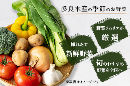【数量限定】野菜ソムリエ 監修 旬の おすすめ 野菜 セット 4～6品 (1-2名様向け)  熊本県 多良木町 024-0801