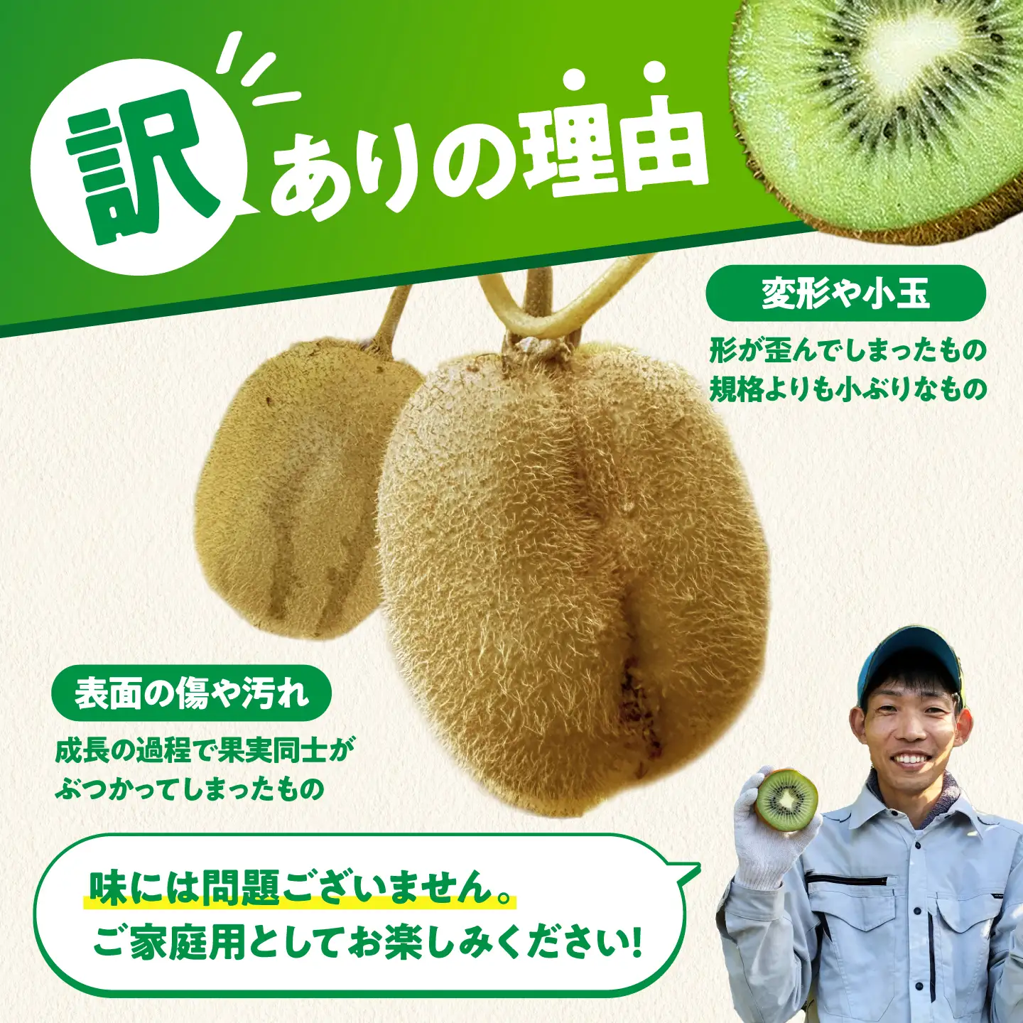 キウイ 訳あり 2kg キウイ [AGBC011]
