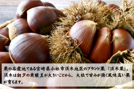 栗　【先行予約】「須木栗」3Lサイズ 2kg程度（生栗 マロン 栗 果物 フルーツ 限定 秋 旬）