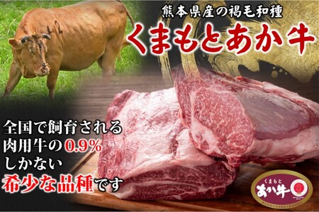 あか牛 くまもとあか牛 肩ロース スライス あか牛【400g】