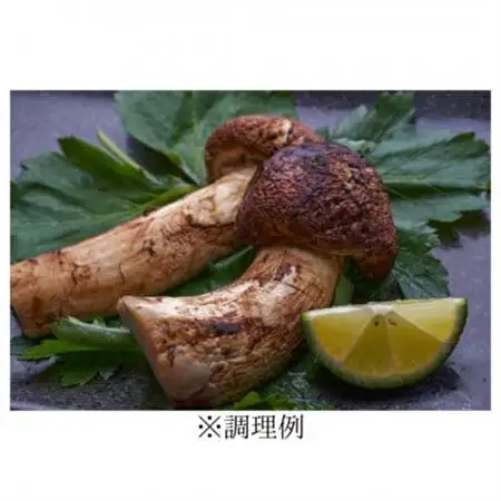 【2026秋発送】≪ご家庭用に≫　岩泉まつたけ  300g_野菜 松茸 きのこ まつたけ マツタケ_【配送不可地域：離島】【1424099】