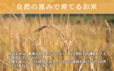 【全3回定期便】【玄米】 自然栽培米 角田玄米（ななつぼし）5kg《厚真町》【カクタファーム】 [AXAR004] 米 お米 玄米 ななつぼし ご飯 北海道 定期便