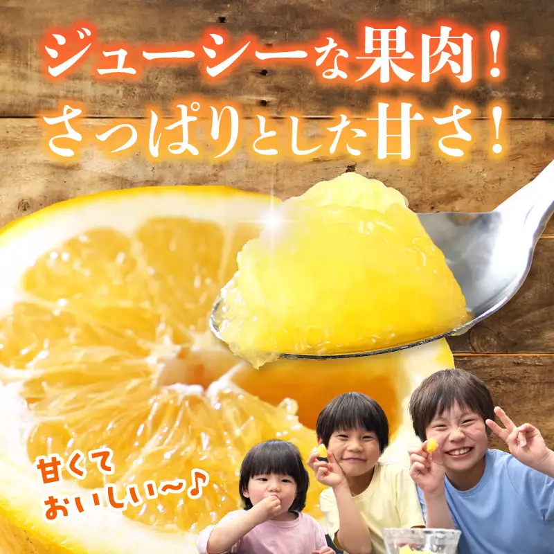 S040-032_農家の手摘み　あまくさ木成り晩柑　5kg