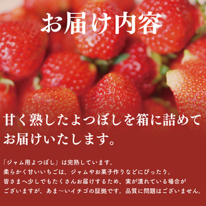 訳あり いちご 900g よつぼし ジャム用 【 いちご 】