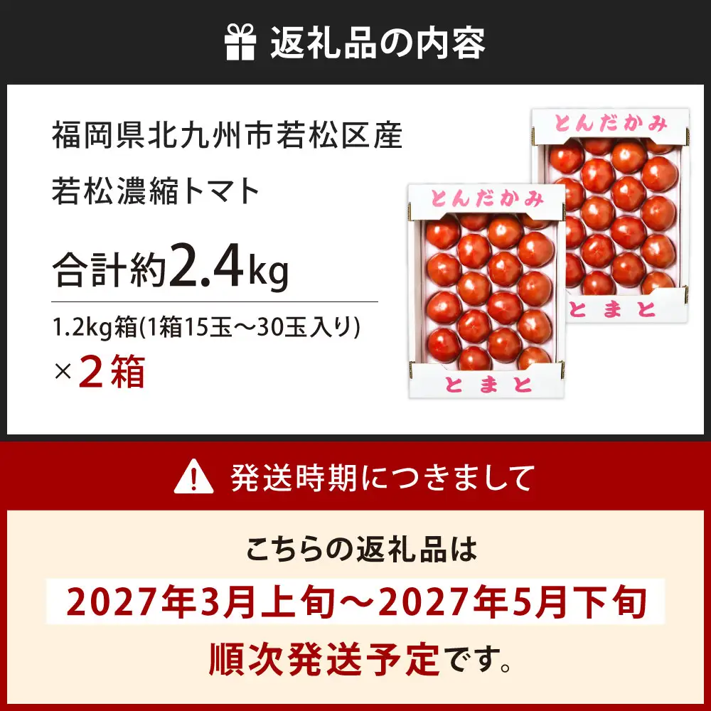 福岡県北九州市若松区産 若松濃縮トマト 約2.4kg 【1.2kg箱（15玉～30玉入り）×2箱】【2027年3月上旬～5月下旬迄発送予定】トマト とまと 野菜 国産 北九州市産