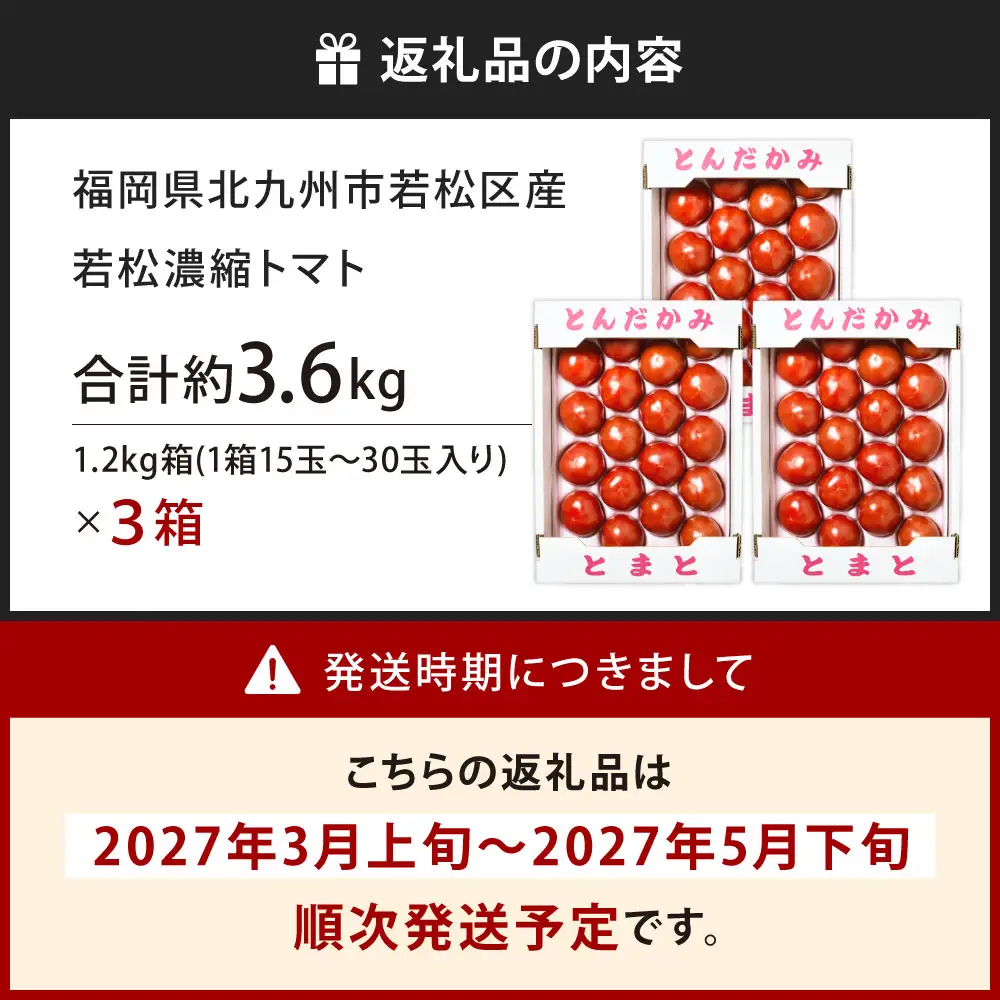 福岡県北九州市若松区産 若松濃縮トマト 約3.6kg 【1.2kg箱（15玉～30玉入り）×3箱】【2027年3月上旬～5月下旬迄発送予定】とまと トマト 野菜 国産 北九州市産