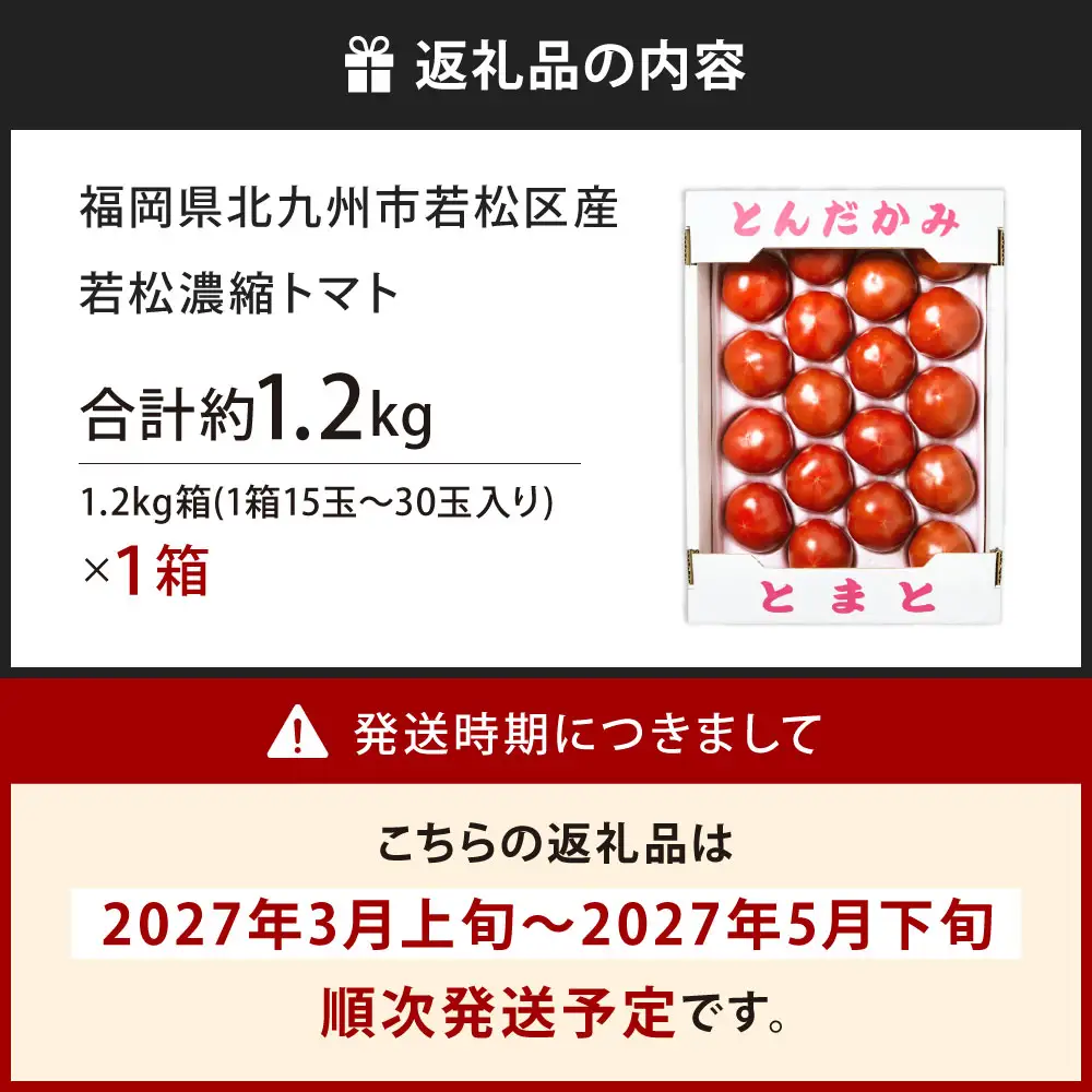 福岡県北九州市若松区産 若松濃縮トマト 1.2kg箱（15玉～30玉入り）【2027年3月上旬～5月下旬迄発送予定】とまと トマト 野菜 国産 北九州市産