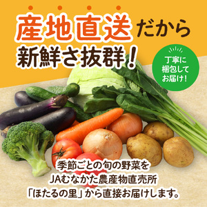 【毎月お届け】むなかた旬のお任せセット 野菜7～9品 _HB0173 | 野菜セット 定期便