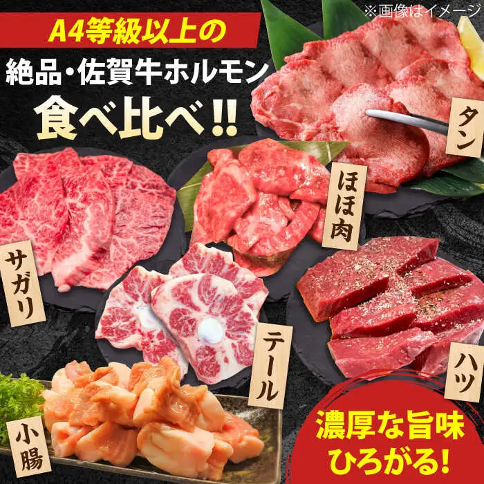 佐賀牛6種食べ比べ！ ホルモンバラエティセット 1.8kg 4-5人前 盛り合わせ タン・小腸など 吉野ヶ里町/やきとり紋次郎[FCJ090]