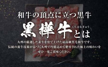 ＜ R8年熊本地震復興支援 ＞黒樺牛 肩ローススライス 1050g （350g×3パック） 約1kg お肉 肉 牛肉 ブランド黒毛和牛 和牛 黒毛和牛 ブランド牛 ロース スライス 肩ロース すきやき すき焼き 冷凍 国産 九州産 冷凍