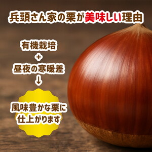 【R8年産】【先行受付】【数量限定】兵頭さん家の鬼北町産栗3kg ｜ 大粒 生栗 和栗 国産栗 地域限定 丹波栗 くり 栗 栗ご飯 生栗 果物 フルーツ 先行予約 数量限定 ※離島への配送不可 ※2026年9月上旬～10月下旬頃に順次発送予定