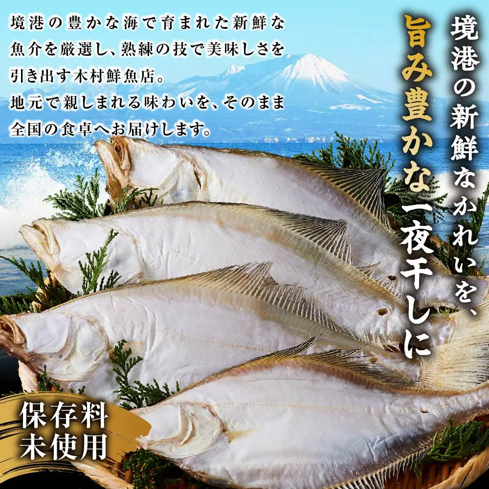 一夜干しかれい 大サイズ！(12枚)【鳥取県 境港市】