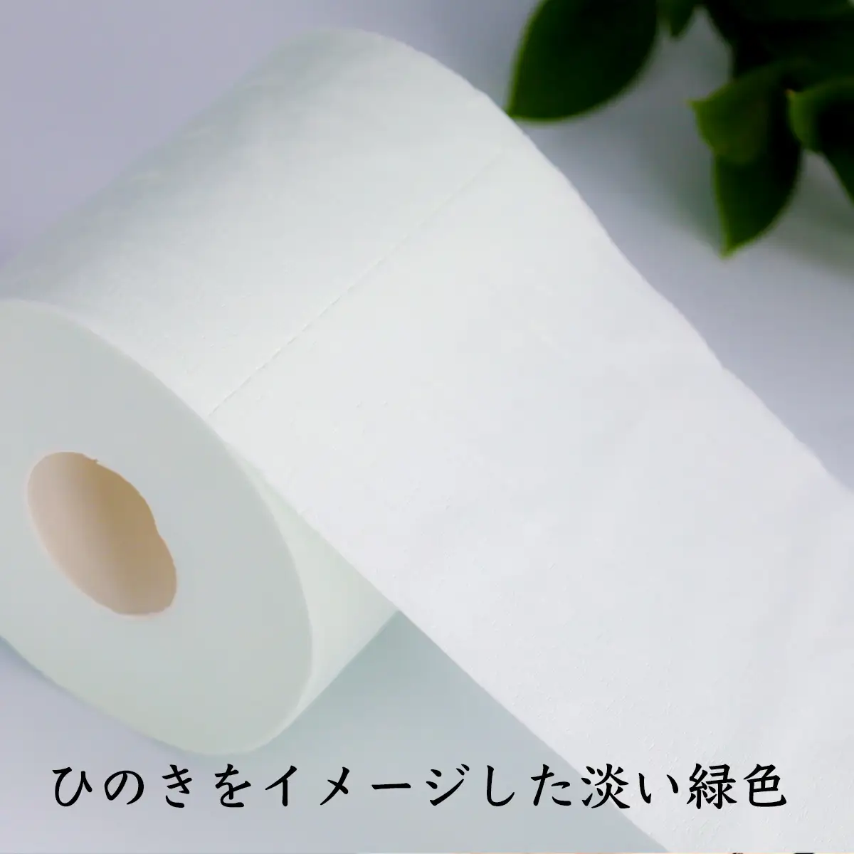トイレットペーパー詰め合わせ24パックセット（白檀＆ひのきの香り / 96ロール）