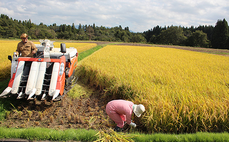令和7年産 金山産米 はえぬき 【精米】5kg 米 お米 白米 ご飯 精米 ブランド米 送料無料 東北 山形 金山町 F4B-0713
